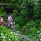 和敬清寂(わけいせいじゃく)を以て