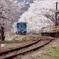 sakura railway