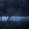 ANOTHER WORLD