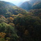 まだ少し早い紅葉