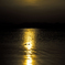 Sunset Duck