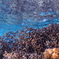 saipan