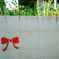 RED RIBBON