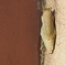 P3270047