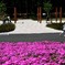 陽気に誘われて