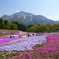 武甲山
