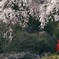 見守る②