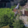 早い餌渡し