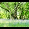 昭和記念公園1