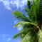 DSCF5095