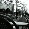 AUX BACCHANALES ④