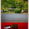 cocoro…静かに…