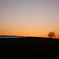 Silent delight