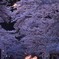 黄昏の時