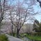 20140501 104704
