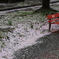 雨のあと