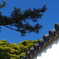白壁