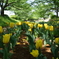 Beautiful Green and Beautiful Flowers