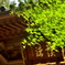 CSC_1179