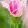 IMG_4059_R