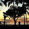 WAIKIKI SUNSET