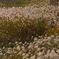 IMGP1657_R
