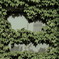 窓を映す景色