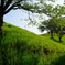 DSCF1640