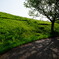 DSCF1644