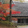 紅葉（１）