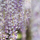 アクセサリー