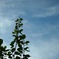 空に一つ