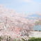 DSCF7056