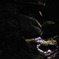 沢