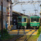 にぎわう緑の電車たち