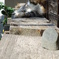 猫の特等席 #03