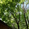 DSC01379