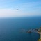 天売島