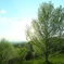 - Green  air -