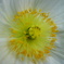 DSC01350