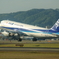 旅立ち