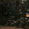 NishiNihon071231_075537