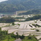 大浦の棚田2014
