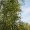 DSC01289