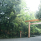 鳥居をくぐるたび