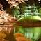 上越高田公園ライトアップ