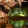 上越高田公園ライトアップ