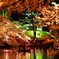 上越高田公園ライトアップ