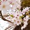 photo_3387062