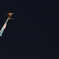 星空とこいのぼり